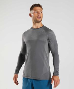 Gymshark Apex Seamless Long Sleeve T-shirts Grijs Grijs | KMSZ15706