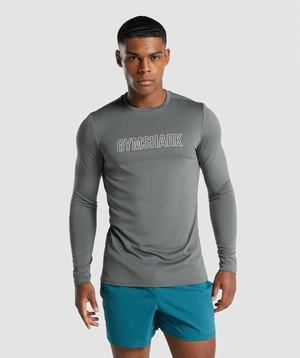 Gymshark Arrival Long Sleeve Grafische T-shirts Grijs | CQIG18693