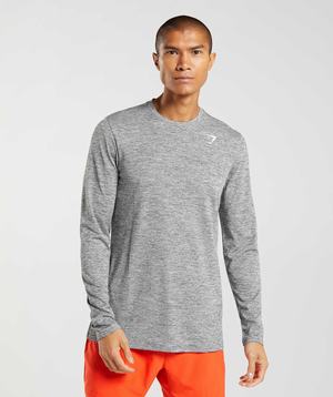 Gymshark Arrival Long Sleeve T-shirts Grijs Lichtgrijs | TVGP65381