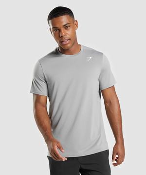 Gymshark Arrival Regular Fit T-shirts Grijs | DTSC37859