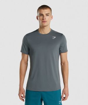 Gymshark Arrival Regular Fit T-shirts Grijs | ROSE85743