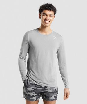 Gymshark Arrival Seamless Long Sleeve T-shirts Grijs | ZVTU58732