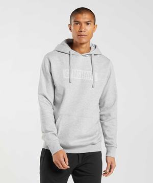 Gymshark Block Hoodie Lichtgrijs | TDQG82940