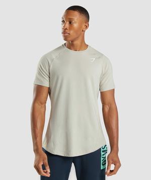 Gymshark Bold T-shirts Grijs | CTYX40862