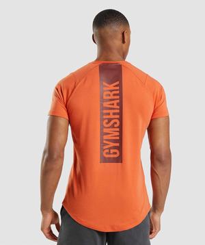 Gymshark Bold T-shirts Oranje | YBWQ81542