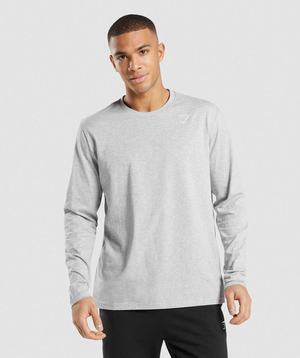 Gymshark Crest Long Sleeve T-shirts Lichtgrijs | YIND93540