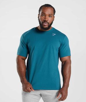 Gymshark Crest T-shirts Blauw | VXWL70359