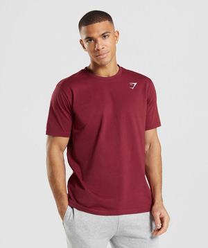 Gymshark Crest T-shirts Bordeaux Rood | OTAN08671