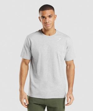 Gymshark Crest T-shirts Lichtgrijs | HNGE20468