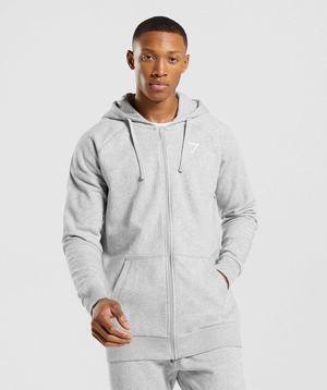 Gymshark Crest Zip Up Hoodie Lichtgrijs | HUFO38951