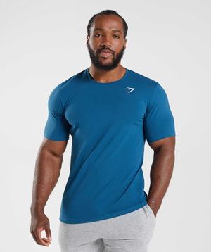 Gymshark Essential T-shirts Blauw | FXPA60938