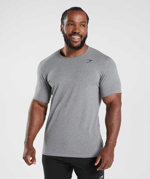 Gymshark Essential T-shirts Grijs | PNUJ75164