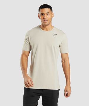 Gymshark Essential T-shirts Grijs | RJCV06194