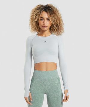 Gymshark Flex Sports Long Sleeve Crop Topjes Lichtgrijs | HFOB78513