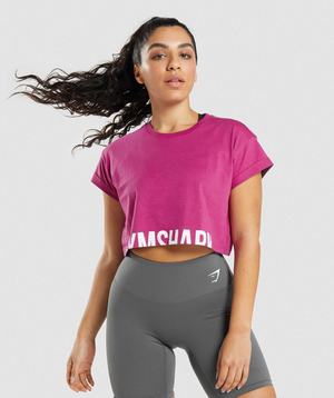 Gymshark Fraction Crop Topjes Roze | LQWH79643