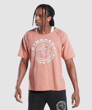 Gymshark Legacy Rag T-shirts Roze | ALPI54871