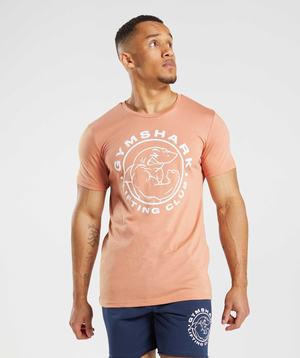 Gymshark Legacy T-shirts Roze | UIWM35648