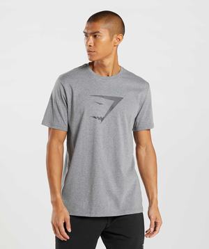 Gymshark Sharkhead Infill T-shirts Grijs | EJOK10923