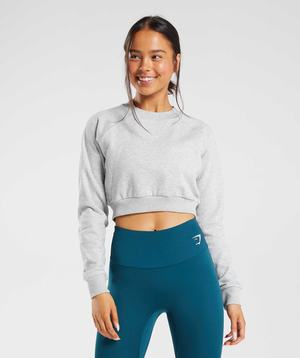 Gymshark Training Cropped Trui Pullover Lichtgrijs | WOPX06493