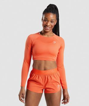 Gymshark Training Long Sleeve Crop Topjes Oranje | VOQP12854