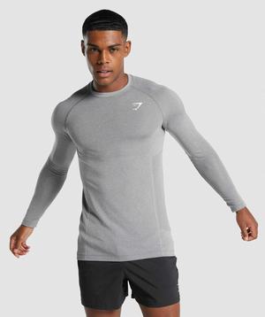 Gymshark Vital Light Seamless Long Sleeve T-shirts Grijs | MIKT15096