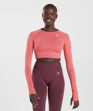 Gymshark Vital Seamless 2.0 Crop Topjes Rood | DZHR83179