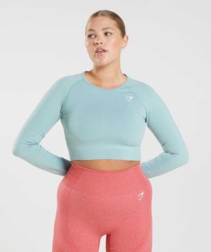 Gymshark Vital Seamless 2.0 Crop Topjes Blauw | PXZO32478