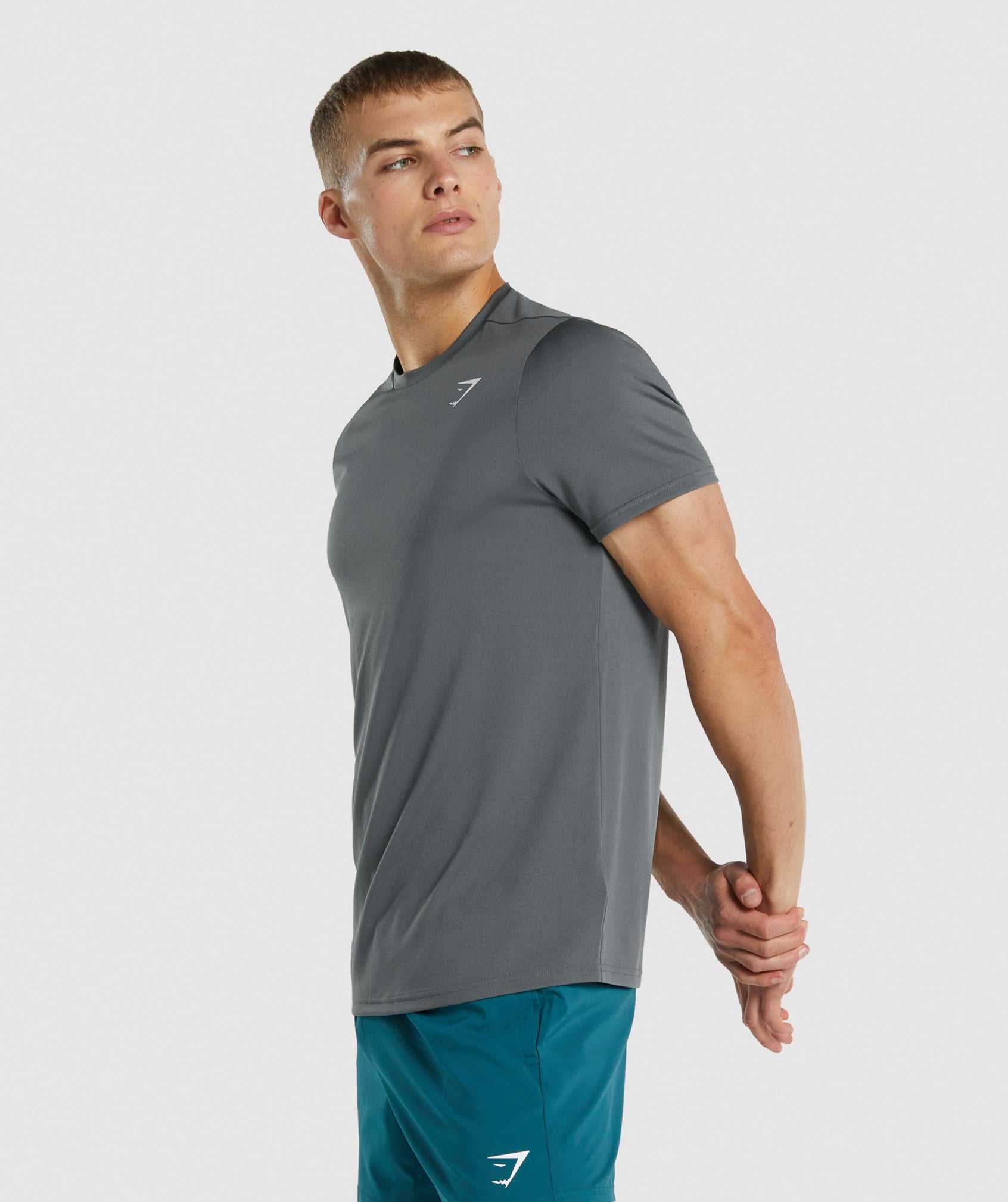 Gymshark Arrival Regular Fit T-shirts Grijs | ROSE85743