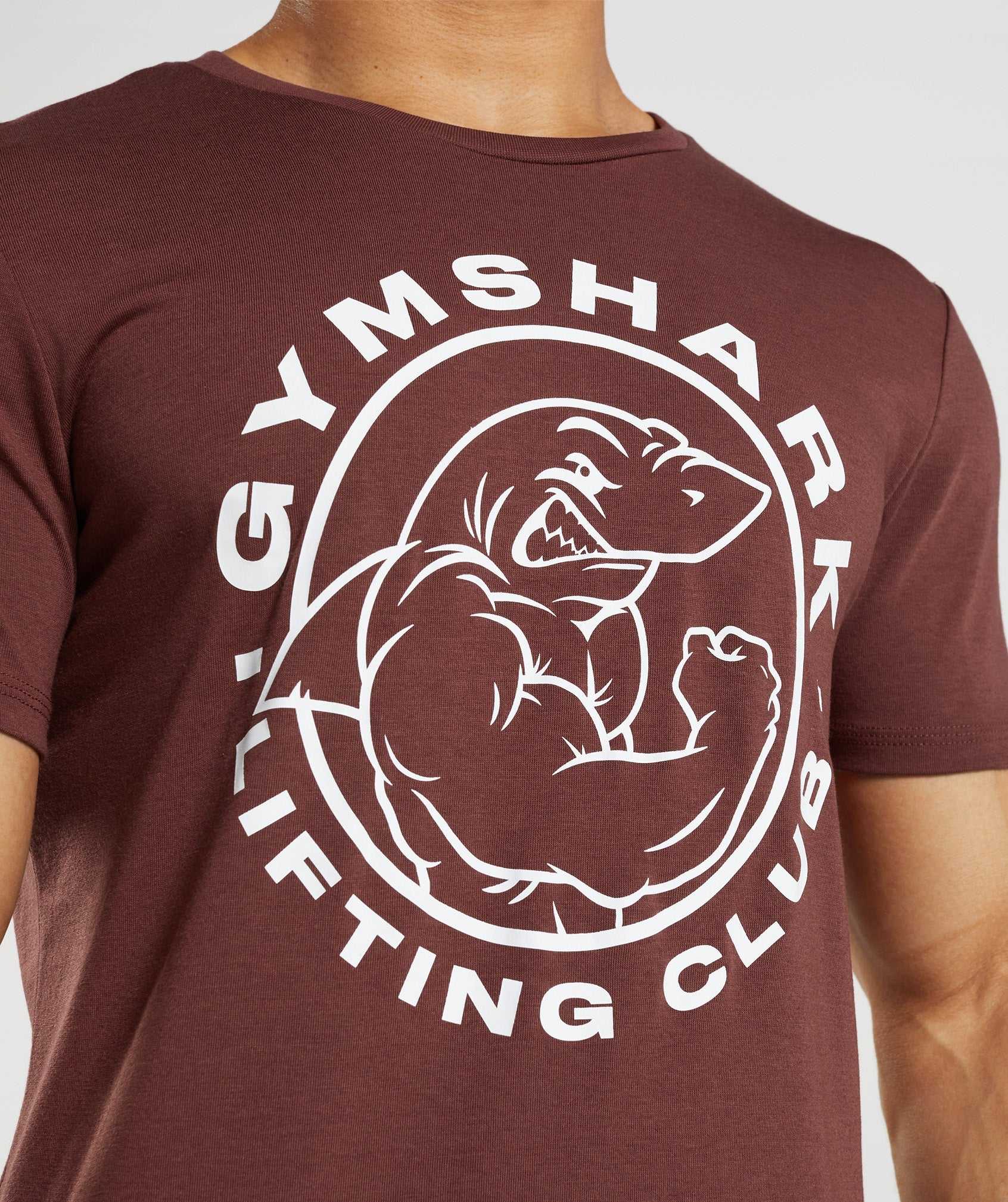 Gymshark Legacy T-shirts Roze Bruin | GOSH89305