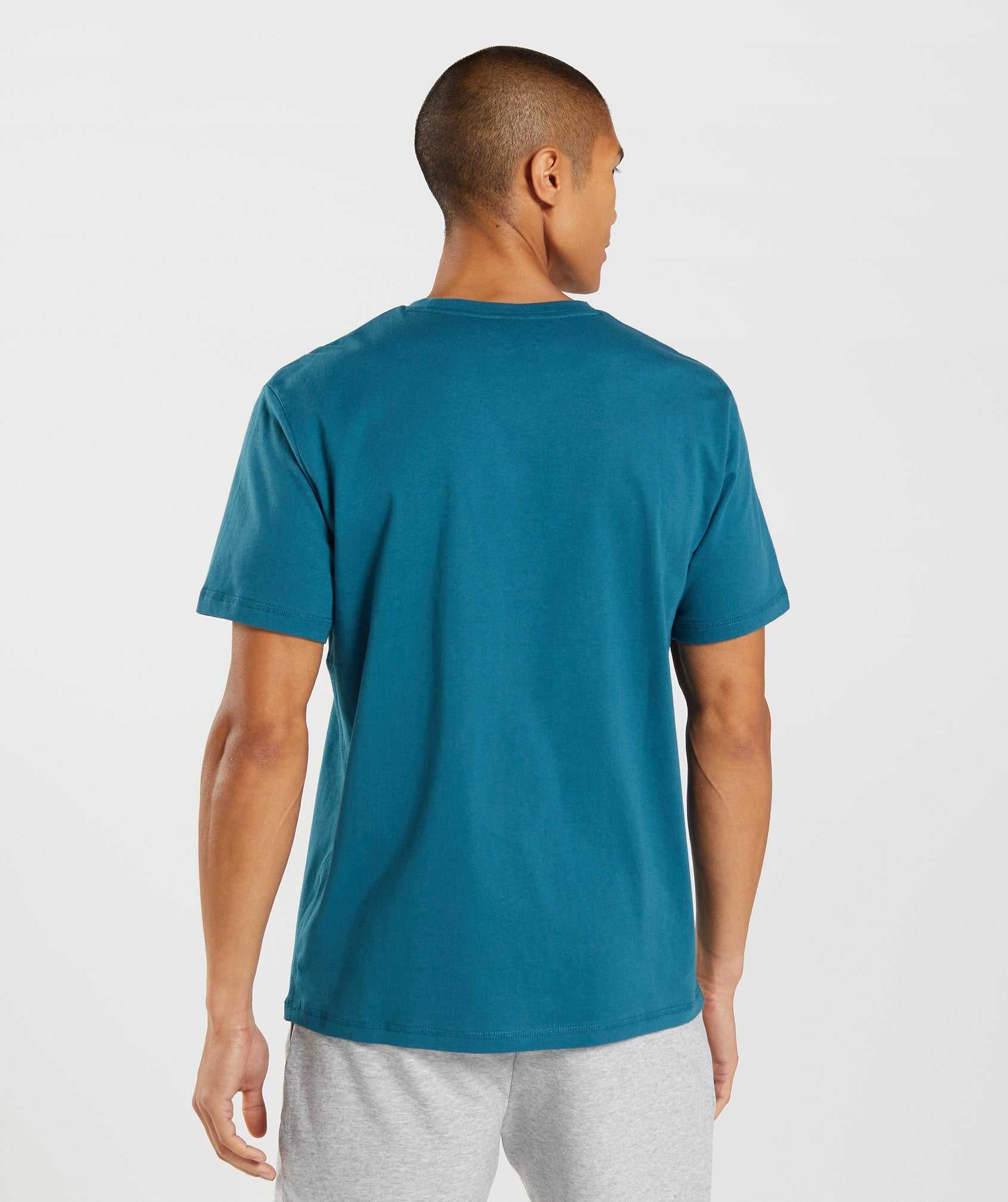 Gymshark Sharkhead Infill T-shirts Blauw | TDGK89201