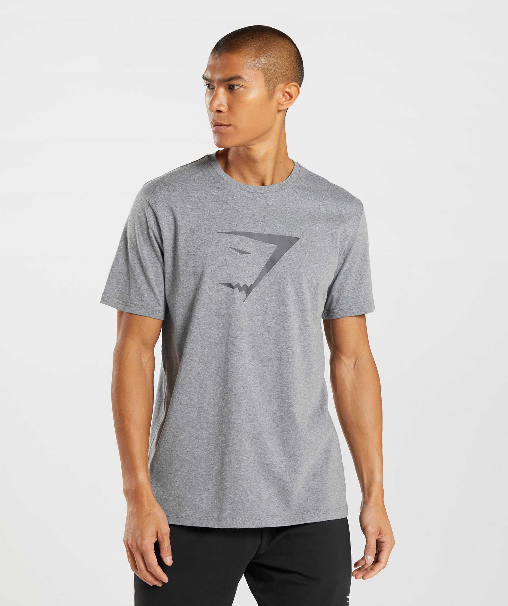 Gymshark Sharkhead Infill T-shirts Grijs | EJOK10923