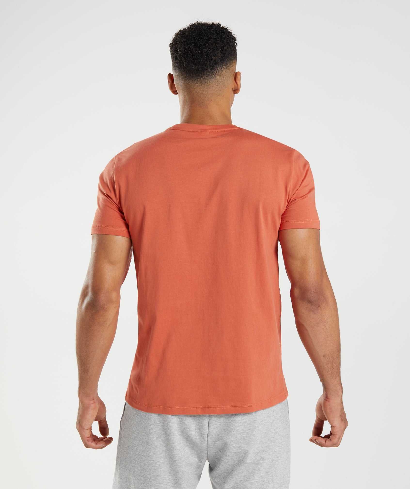 Gymshark Sharkhead Infill T-shirts Rood | QAJW40927